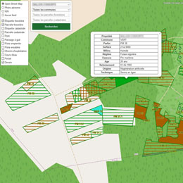 Cartografia florestal
